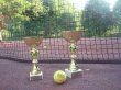 Otwarty Turniej Tenisa Ziemnego o Puchar Burmistrza Rzepina